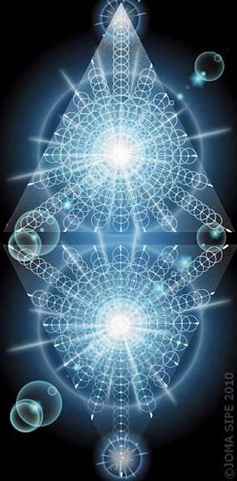 561534_250116155111895_1183523062_n