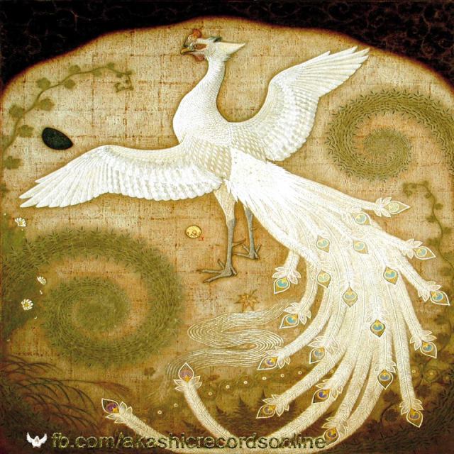 581730_407211546051072_1338042121_n