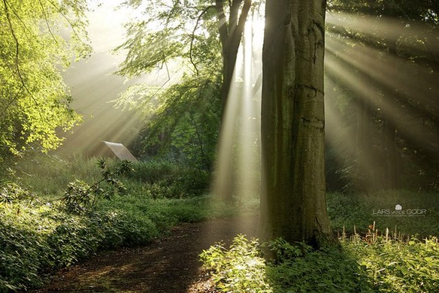 60051_470309539699761_809961465_n