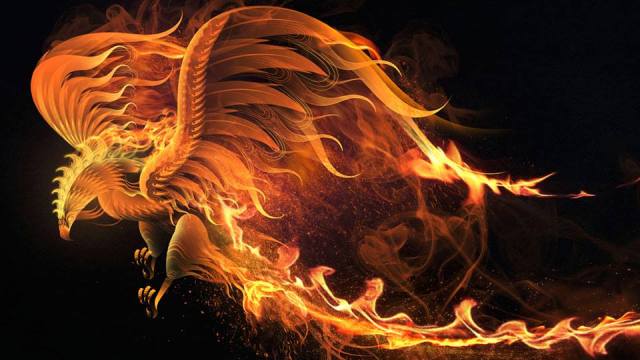 600812_344202942349686_1425247174_n