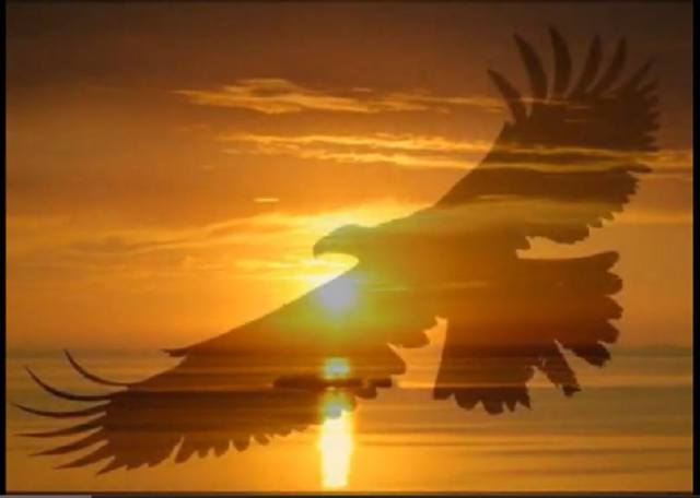 600817_578137652232281_1731666249_n