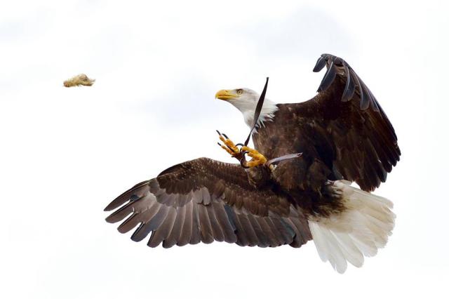 601734_370756556374769_158491298_n