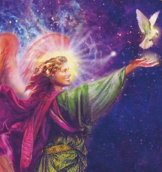 733805_10152095344278098_1599534616_n