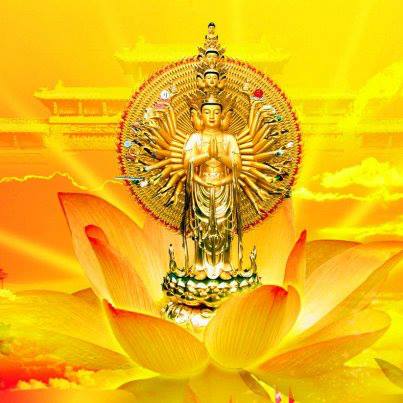 942663_555933474444703_1792658469_n