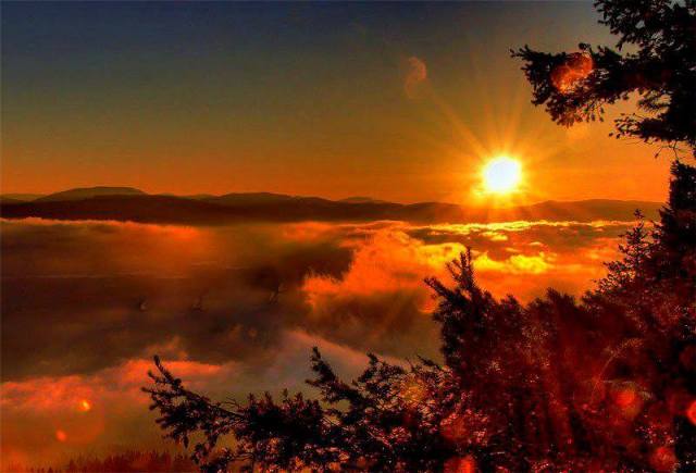 944739_578124572233589_44637321_n