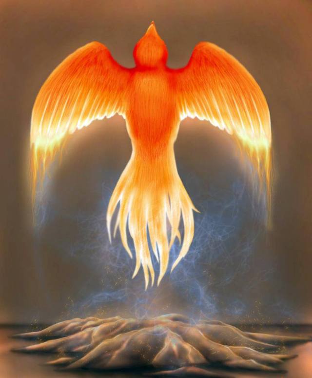 946699_542980445738901_2050927311_n