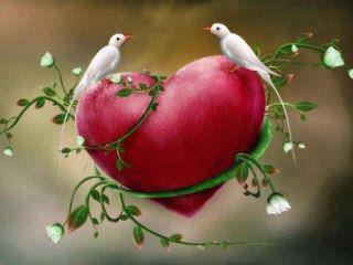 969260_1402397749982911_625412739_n