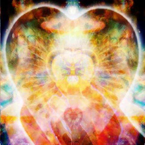 970112_608863482480231_2004678996_n