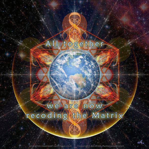 971533_175695862612938_1053846790_n