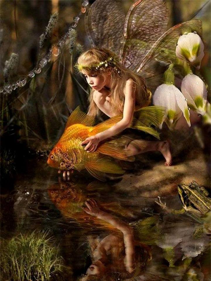 971544_419744411478726_792783567_n