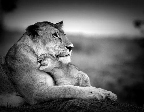 993520_592295200803726_1034387265_n