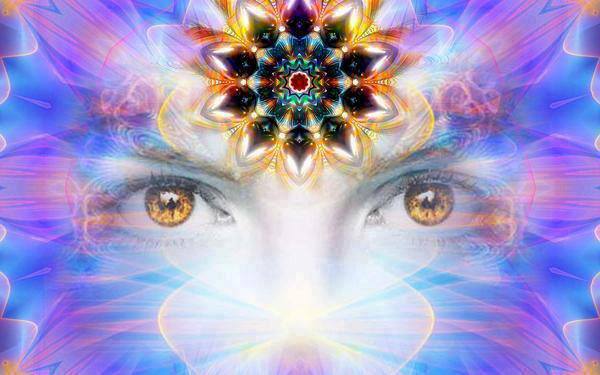 995973_1404333593116123_272561578_n