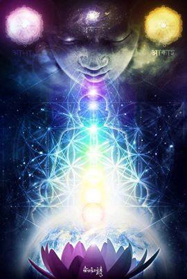 999151_175140319335159_698103934_n