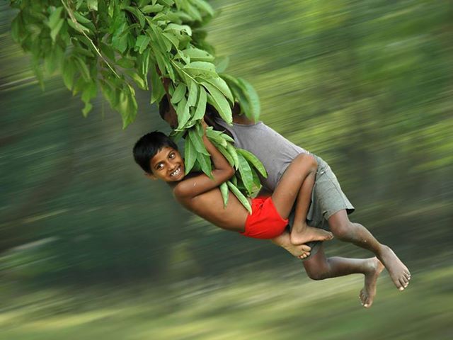 999733_531081383612095_1381471012_n