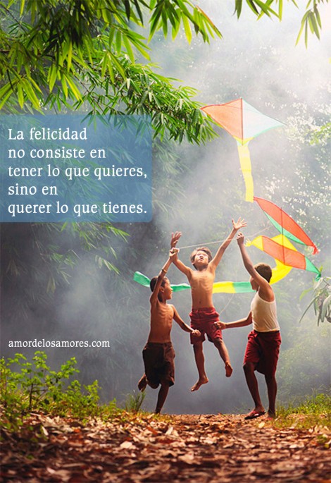 amar-felicidad-470x685