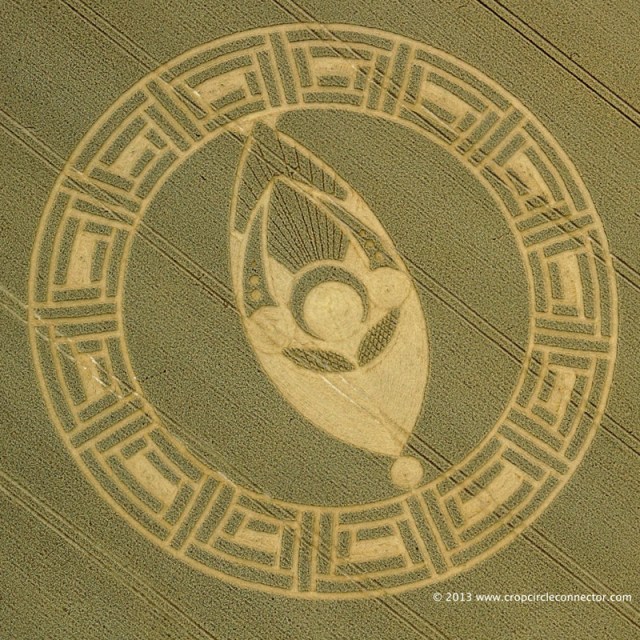 Cooks-Plantation-Overhead-C