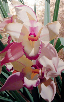 cuadros-flores-orquideas---