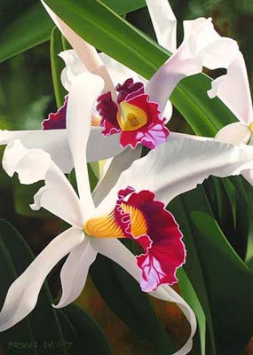 cuadros-flores-orquideas