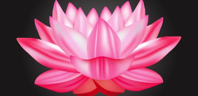 flor-loto-vectores-gratis