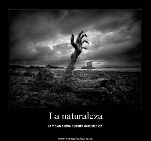 horror_de_la_naturaleza1024x768