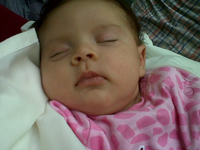 IMG00193-20120318-1226