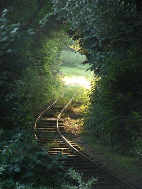 1001223_1397108153842929_318791769_n