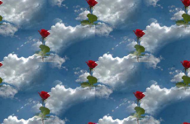 1005339_382628958526859_1056262334_n