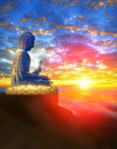 1006169_184093238423309_1227431023_n