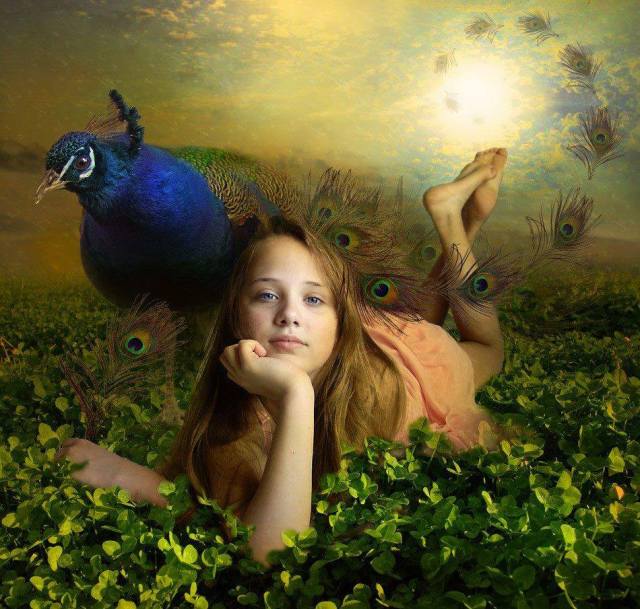 1006221_192291810936785_1889517211_n