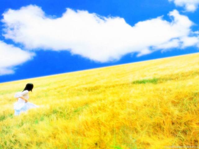 1008189_592915454075034_492800260_o