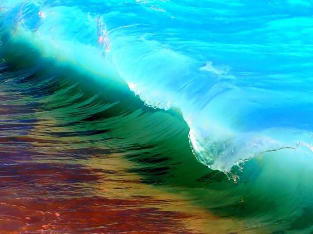 1015047_592541227445790_334488107_o