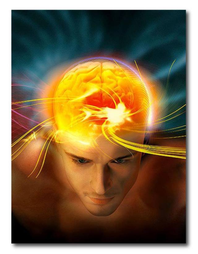 10236_534292396607310_261906589_n