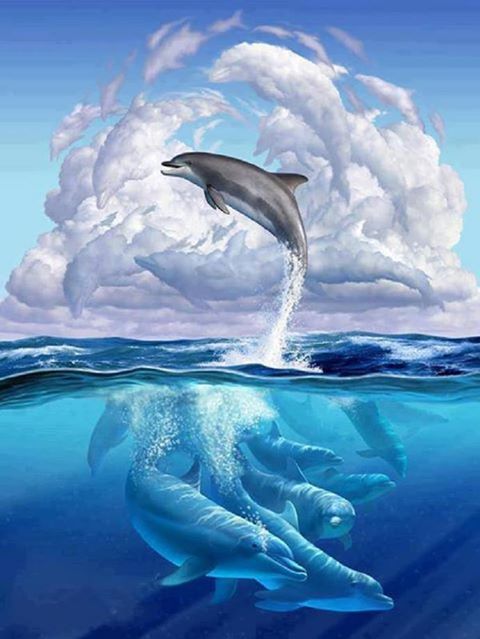 1150785_156191987910430_1270387374_n