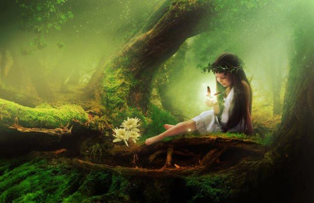 1157447_422649024521598_635257523_n