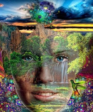 1185572_512695245489323_1855758754_n