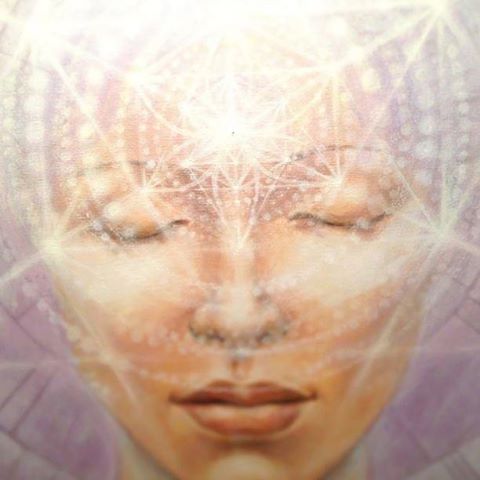 1186204_241325389353217_1979581053_n