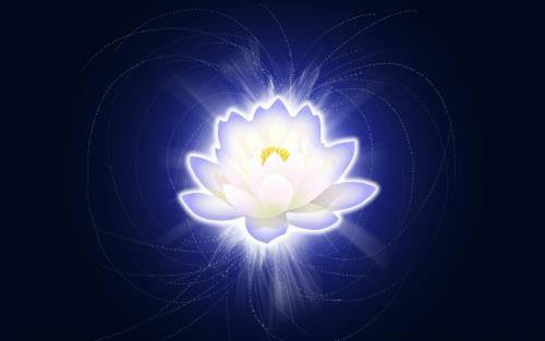 1208929_424802094292953_1910859062_n