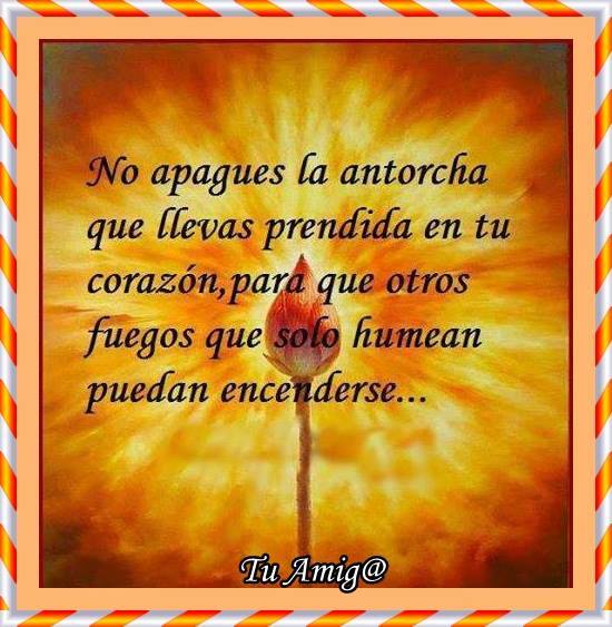 1231502_1418256905055653_534137258_n