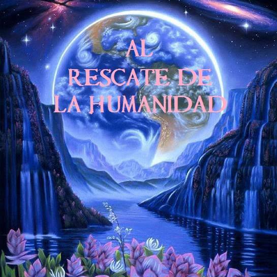 1231526_1377850262448559_1374463129_n