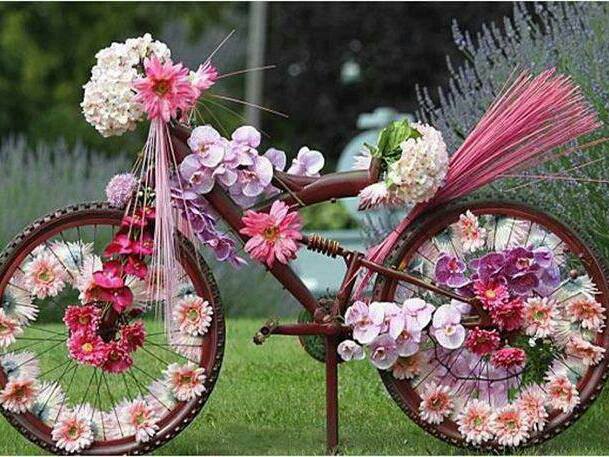 1234116_515673201843181_1644333195_n