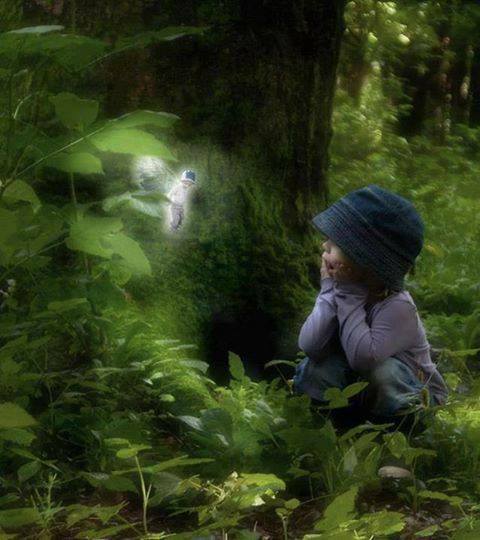 1234222_427571824020689_1484168412_n