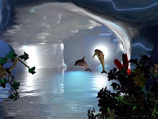 1239507_369351203197632_440137161_n