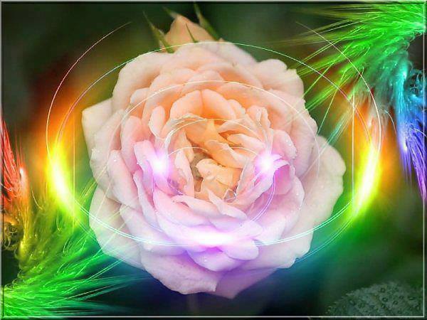 1240169_295721303903864_950209121_n