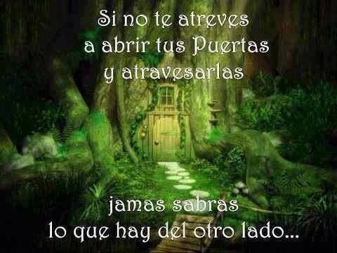 1305404_546266492087467_1262726169_n