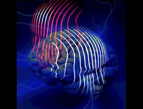 251316_10151036756446389_253273571_n