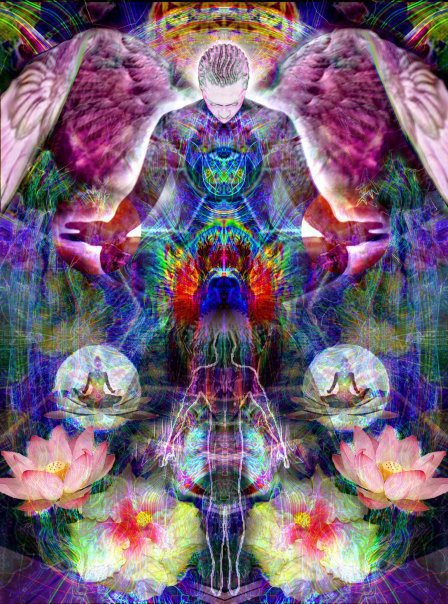 255224_463044050392170_1484226807_n