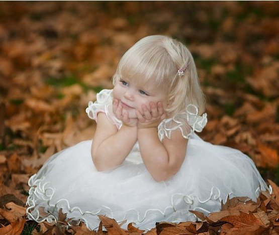 281598_215576698488716_2840918_n