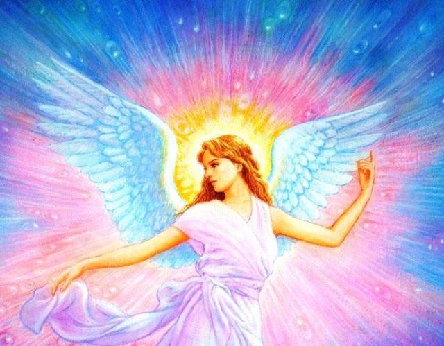 312194_335861379872741_1074315008_n