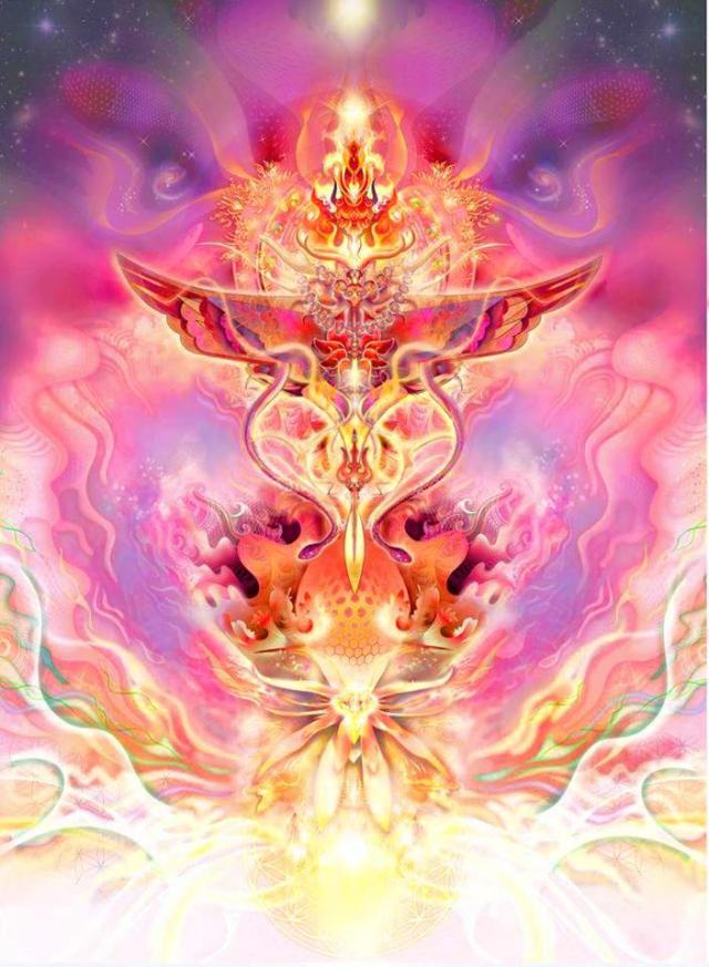 390294_268261856630658_1800358580_n