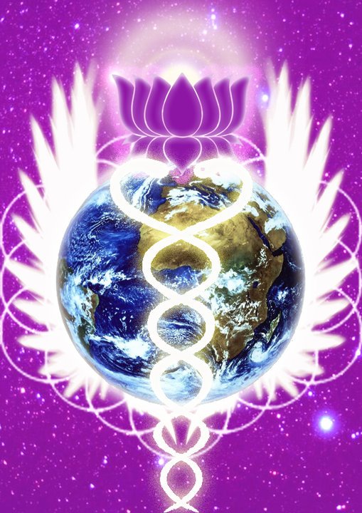 431643_297324440325907_1636006233_n